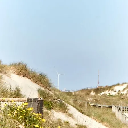 Casa Coracao De Viana - Near The *