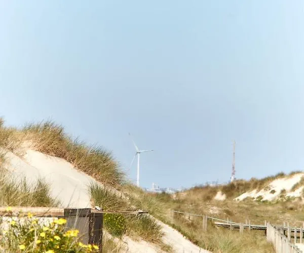 Casa Coracao De Viana - Near The *